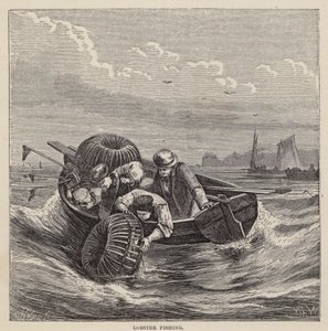 Pesca dell