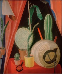 Natura morta con cactus da Fritz Burmann