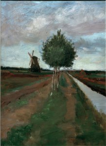 Mulino e strada con betulle