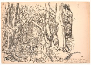 Le altre anatre... da Fritz Syberg