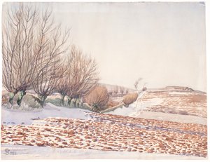 Paesaggio con salici e campo arato nella neve