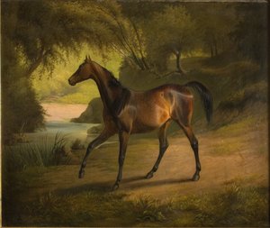 Antonia da Fritz Thomsen