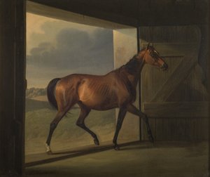 Jutta da Fritz Thomsen