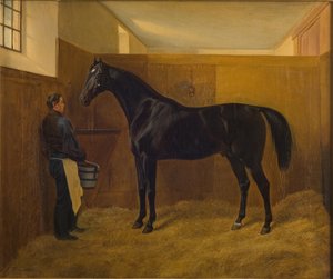 Zampa da Fritz Thomsen