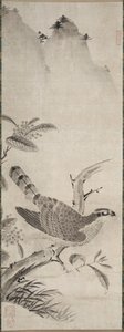 Falco da Fujiwara Masayoshi