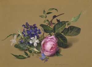 Scarabeo sul ramo di rosa da Fyodor Petrovich Tolstoy