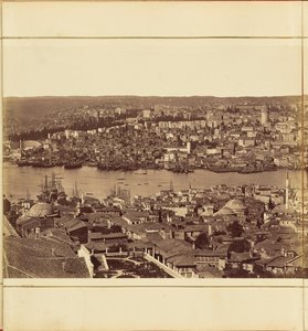 [Plate 3]