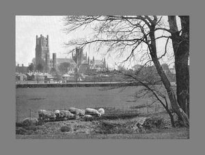 Cattedrale di Ely, c1900
