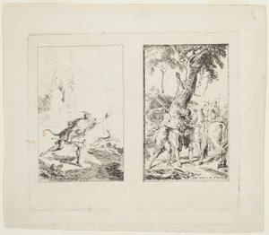 Vignette per i 