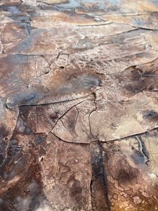  da Gabriela Aleksandra Szuba