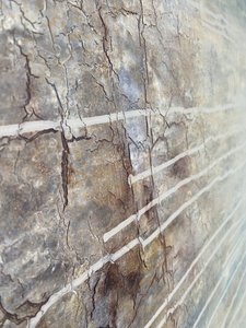  da Gabriela Aleksandra Szuba