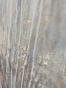  da Gabriela Aleksandra Szuba