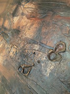  da Gabriela Aleksandra Szuba