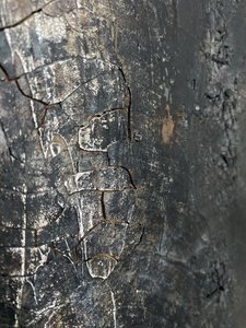  da Gabriela Aleksandra Szuba