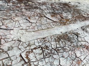  da Gabriela Aleksandra Szuba