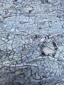  da Gabriela Aleksandra Szuba