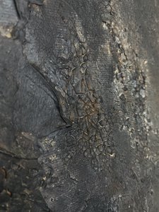  da Gabriela Aleksandra Szuba