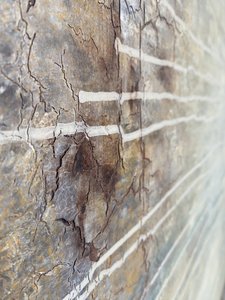  da Gabriela Aleksandra Szuba