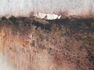  da Gabriela Aleksandra Szuba