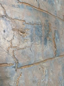  da Gabriela Aleksandra Szuba