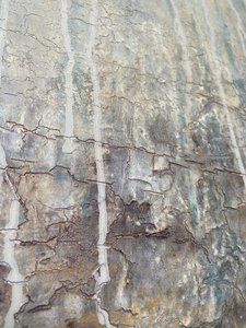  da Gabriela Aleksandra Szuba