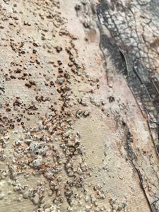  da Gabriela Aleksandra Szuba