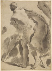 Studi di nudi femminili da Gaetano Gandolfi