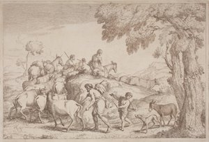 Un pastore anziano visto da dietro