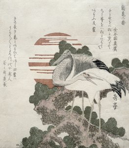 Gru (Tsuru) dalla serie 2 disegni di Gru e Tartarughe, 1818-30