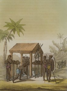 Tomba dei re della Guinea con teste votive, tavola 33 da 