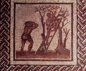Arte gallo-romana: pavimentazione a mosaico che rappresenta un calendario rustico. Scena di raccolta delle olive. Fine II, inizio III secolo d.C. Da Saint-Romain-en-Gal. Saint Germain en Laye, Museo Nazionale di Archeologia da Gallo Roman