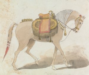 Cavallo con Sella Elaborata