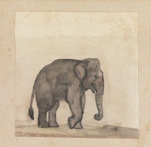 Elefante da Gangaram Chintaman Tambat