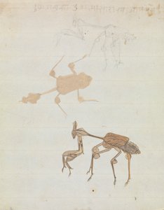 Mantide Religiosa da Gangaram Chintaman Tambat