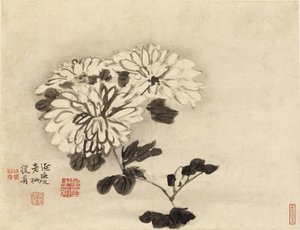 Crisantemi da Gao Qipei