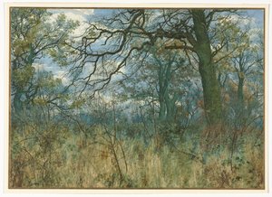 Alberi e Sottobosco, 1885 da Garden William Fraser