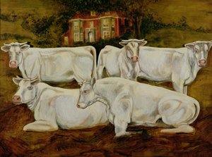 Tori Charolais, Dippenhall, Farnham da Gareth Lloyd Ball