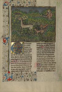 Libro della caccia