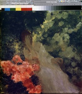 Nel giardino