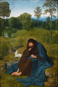 Giovanni Battista nel deserto