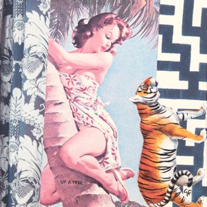 Ragazza che si arrampica con la tigre, 2016 (collage) da Genevieve French