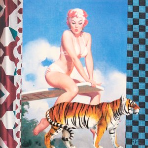 Ragazza che nuota con la tigre (collage)