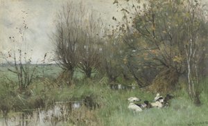 Anatre vicino a un boschetto di salici da Geo Poggenbeek