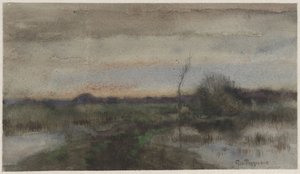 Paesaggio paludoso al tramonto da Geo Poggenbeek