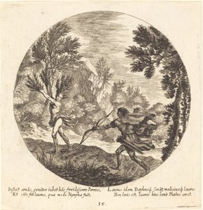 Dafne si trasforma in alloro da Georg Andreas Wolfgang the Elder