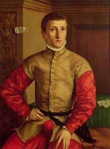 Ritratto di un giovane uomo, 1544