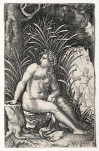 Procri, 1539 da Georg Pencz