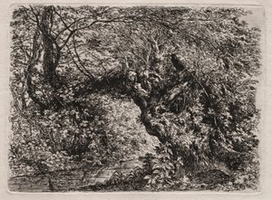 Il Vecchio Salice a un Ruscello, 1794 da Georg von Dillis