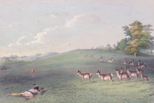 Il portafoglio degli indiani nordamericani di George Catlin da George (after) Catlin