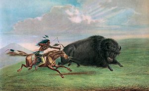 Stampa dopo Buffalo Hunt di George Catlin, c.1920 da George (after) Catlin